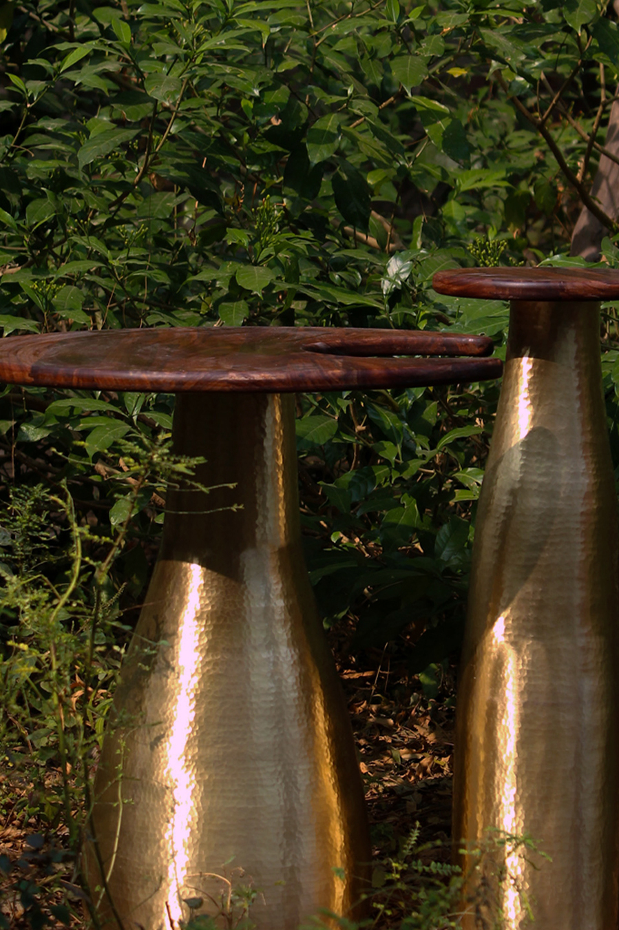 Samatva Project Thumbnail